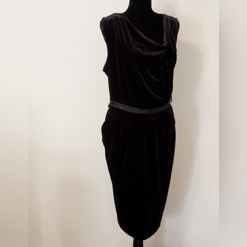 Plus velvet dress